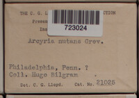 Image Associated With the Occurence
